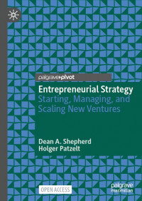 Entrepreneurial strategy :starting, managing, and scaling new ventures