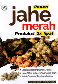 Panen Jahe Merah Produksi 3x Lipat
