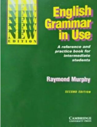 Image of English Grammar in Use: A Reference and Practice Book for Intermediate Students (Second Edition)
