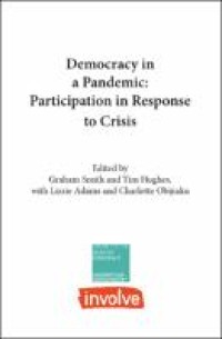 Image of Democracy in a pandemic :participation in response to crisis