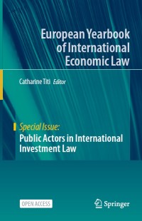 Image of Public actors in international investment law