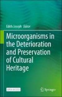 Image of Microorganisms in the deterioration and preservation of cultural heritage