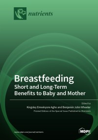 Image of Breastfeeding:short and long-term benefits to baby and mother